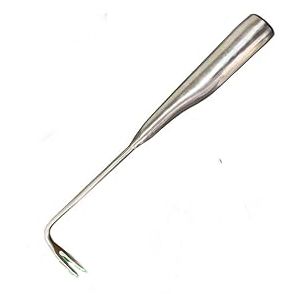 Stainless Steel 2 Prong Weed Remover