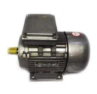Electric Motor