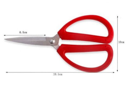 Stainless Steel Scissors