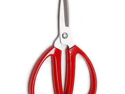 Stainless Steel Scissors
