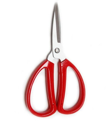 Stainless Steel Scissors