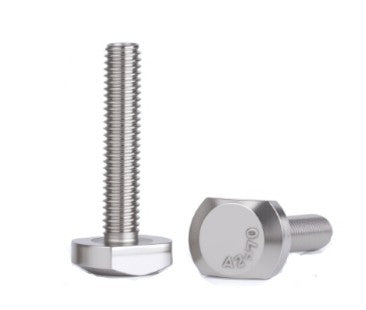 T-Head Bolt (Stainless Steel)