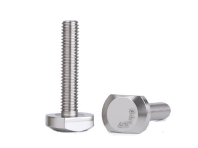 T-Head Bolt (Stainless Steel)