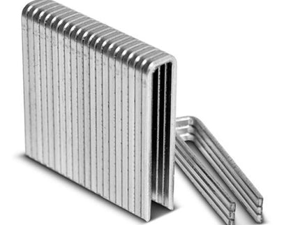 FS38 Galvanised Staples