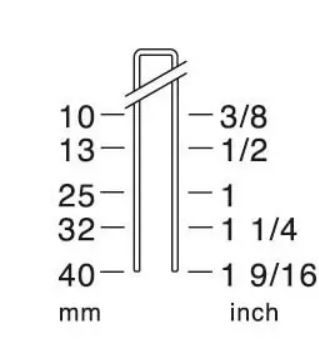Pneumatic Stapler and Brad Nailer
