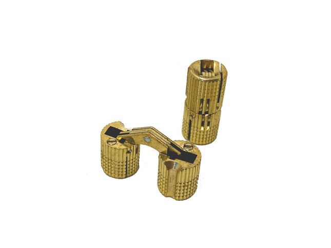 Concealed Barrel Hinges (Large)