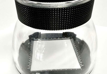 Analysis Magnifier with Scale