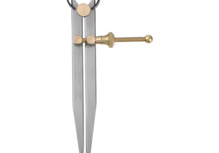 Spring Inside Caliper