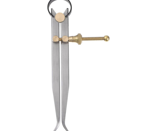 Spring Inside Caliper