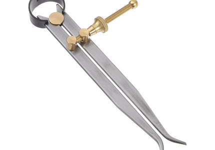 Spring Inside Caliper