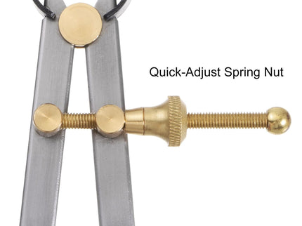 Spring Inside Caliper