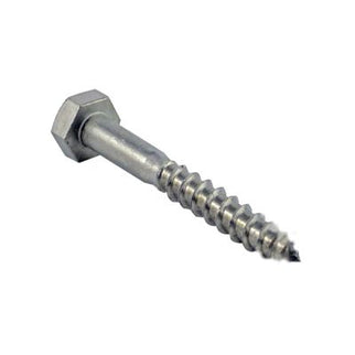 Stainless Steel Coach Screw