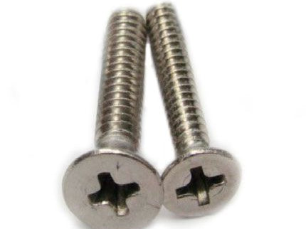 Stainless Steel Countersink Philips Head Bolt