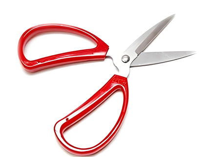 Stainless Steel Scissors